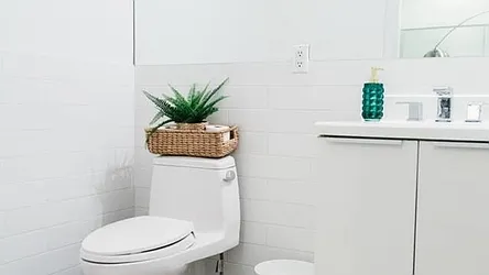 Rented by Guardeum Management LLC 