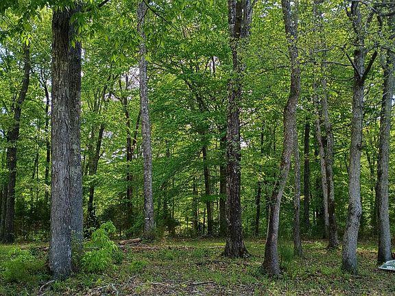 5th image of County Road 219