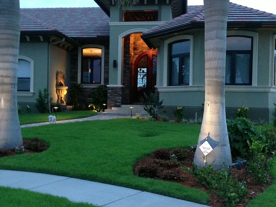 Front View