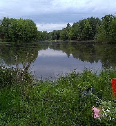 4th image of 9813 Miramichi Dr