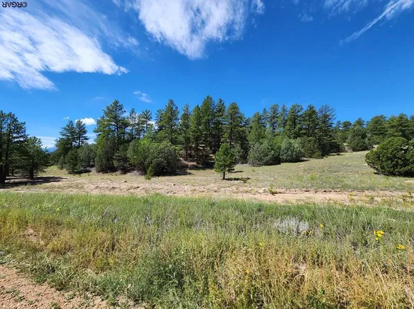 72 Last Chance Ln, Cotopaxi, CO 81223