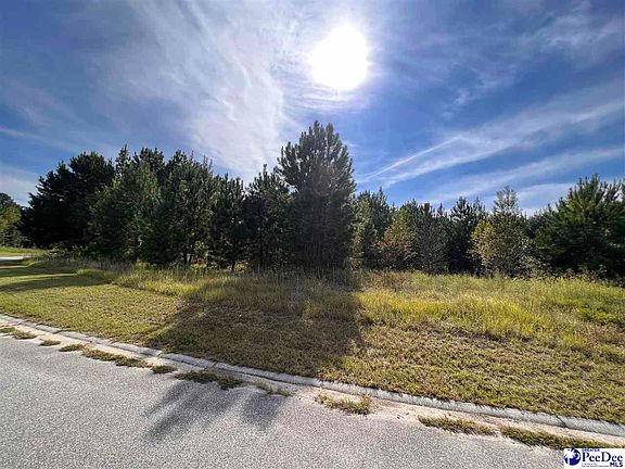 5th image of 431 Pembroke Blvd