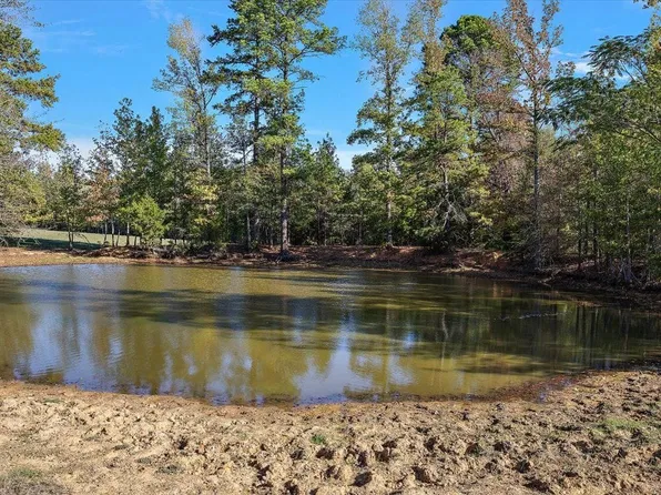 1601 County Rd, Avinger, TX 75630