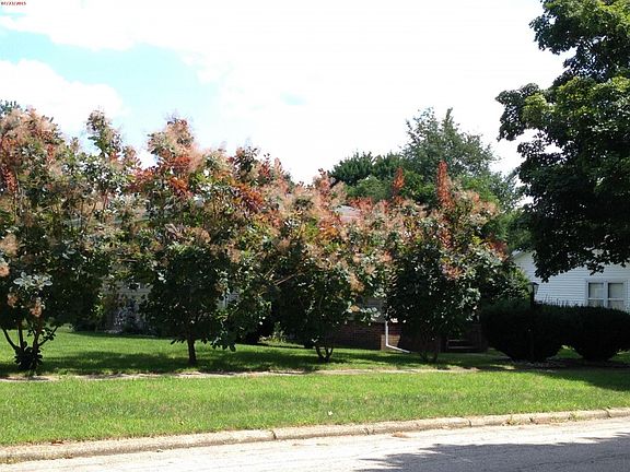 3rd image of 617 Woodruff St