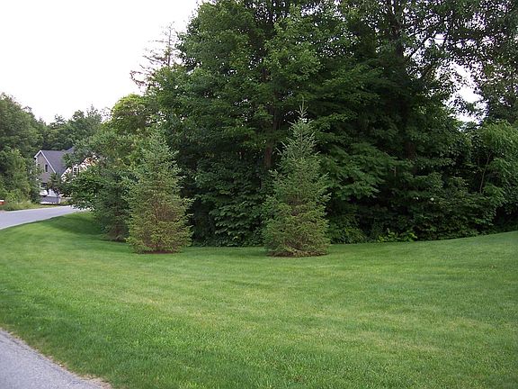 4th image of 73 Sunny West Ln