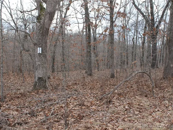 Ferro Ln #2016, Edwards, MO 65326