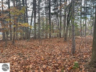 21 S Chandler St, Leland, MI, 49654
