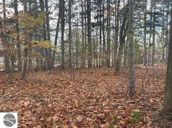 21 S Chandler St, Leland, MI 49654