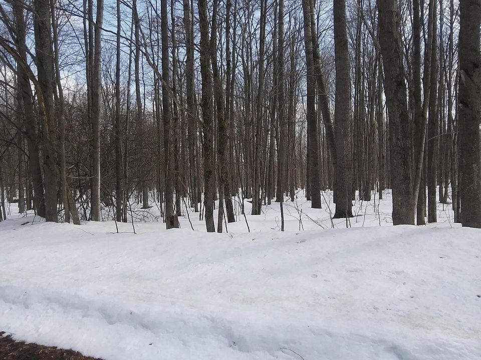 1st image of Forest Grv