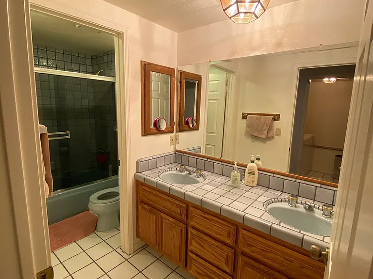 Lower level full bathroom