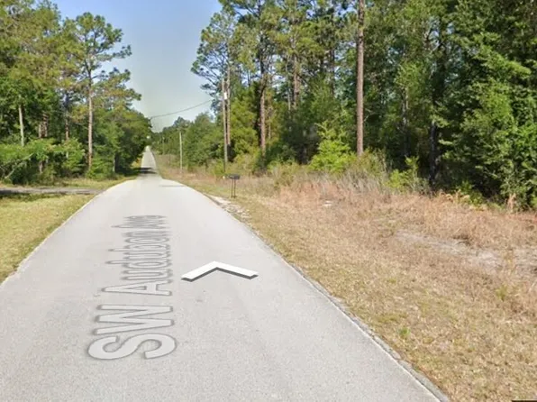 20313 SW Audubon Avenue, Dunnellon, FL 34431