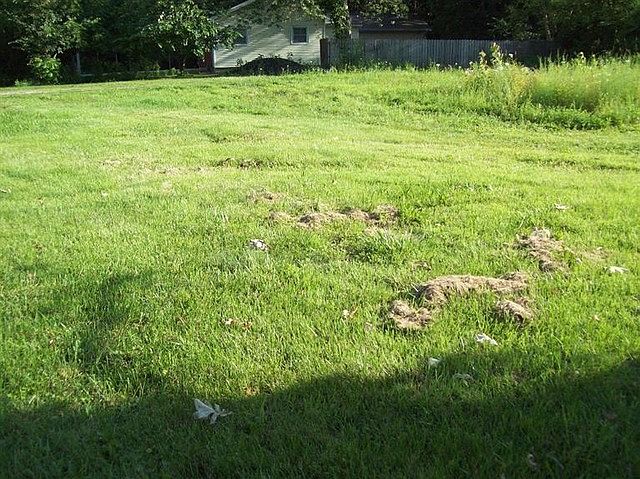 2nd image of 6801 W 134th Pl