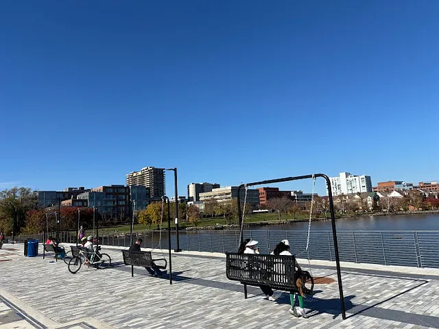 Bench swings nearby