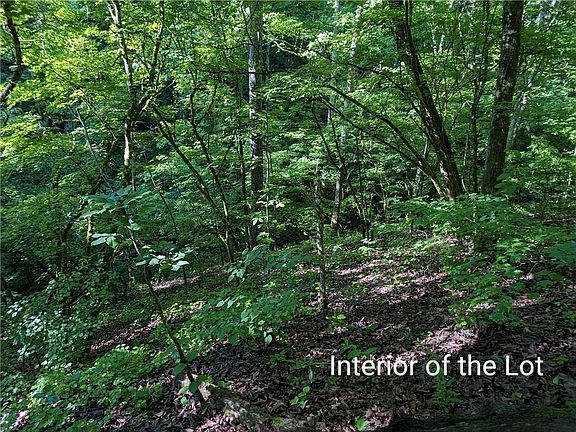 5th image of 772 Naomi Ct