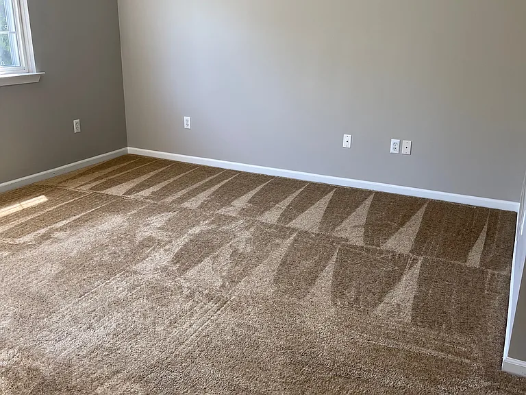 29890 Donna Ln — Photo 6