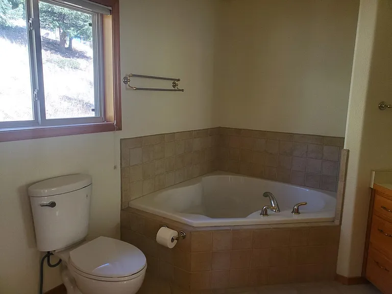 Soaking tub in master bath