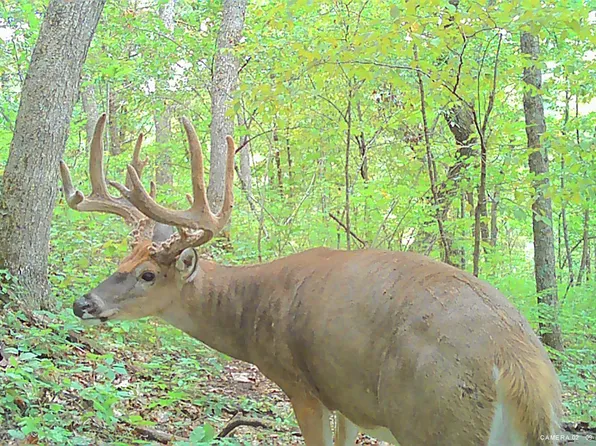 County Road C, Soldiers Grove, WI 54655