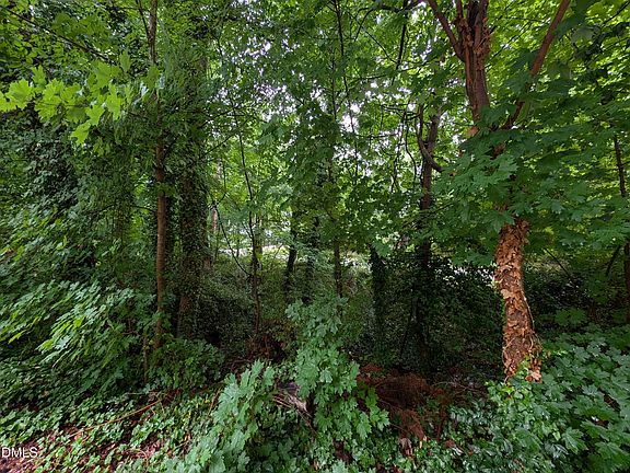 3rd image of 333 Willow St Lot 2
