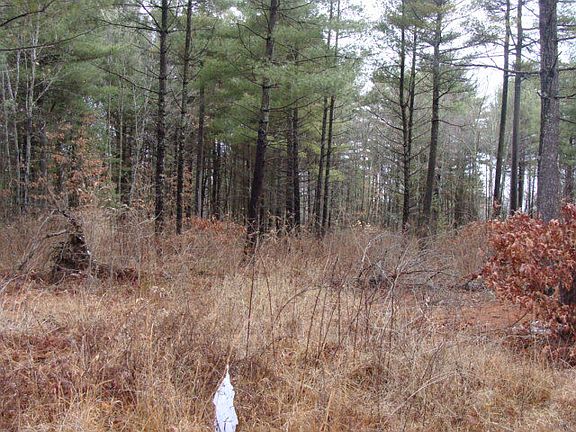 2nd image of Lot 2 Holloway Drive