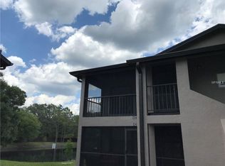 4006 Angel Oak Ct APT 204, Tampa, FL 33613