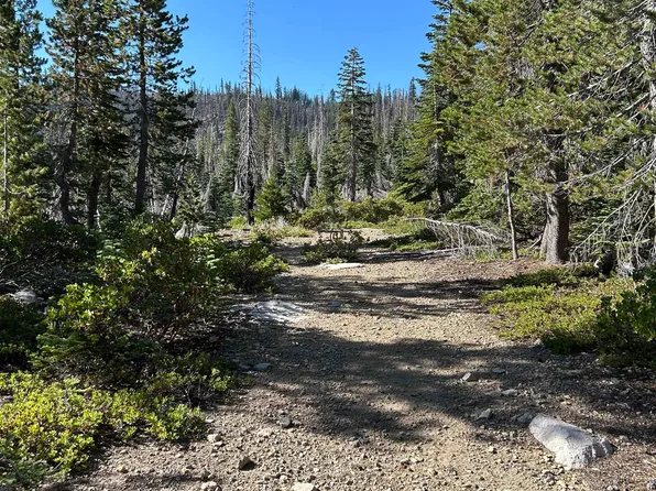 Duck Lake Area 43n49, Macdoel, CA 96058
