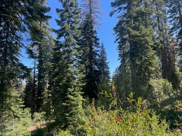 0 Big Creek Rd, Quincy, CA 95971