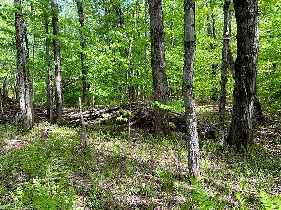 4th image of 3 Creek Rd
