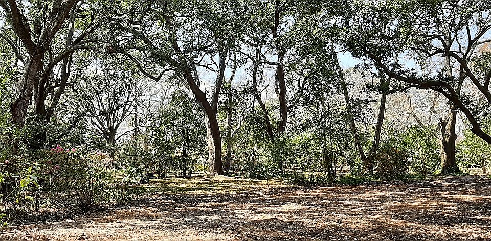 Peaceful landscape