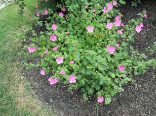 10623 Chestnut Ridge Rd, Austin, TX 78726