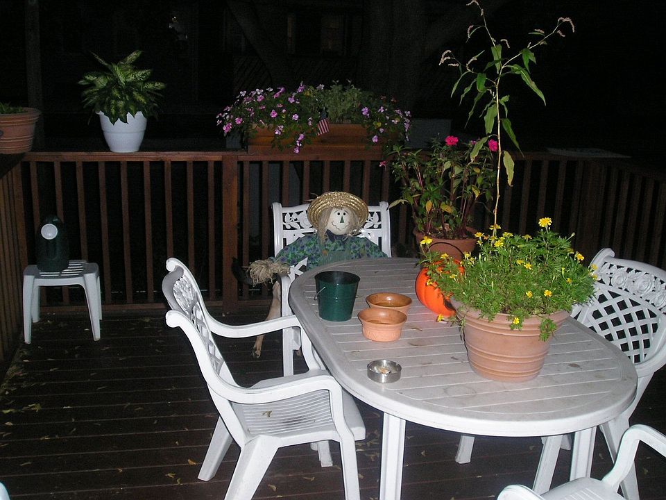 BACKYARD DECK