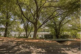 500 East Riverside Drive - 229 - 229 — Photo 4