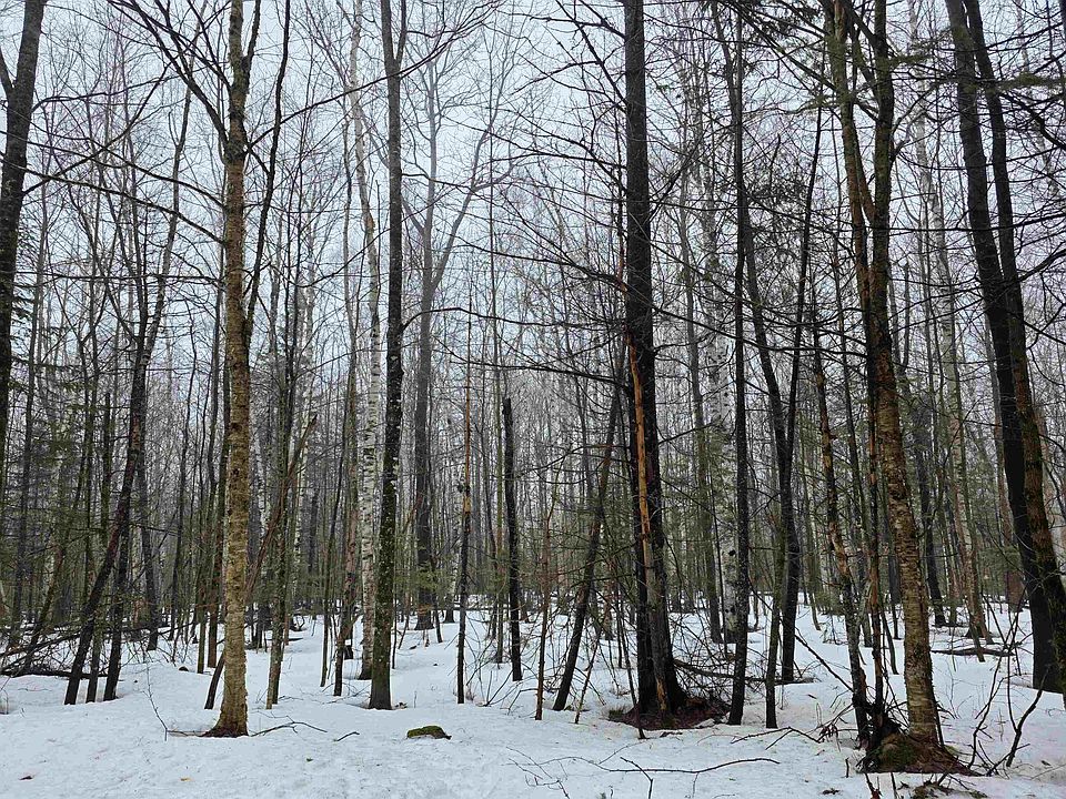 1st image of 1500 Allard Hill Road