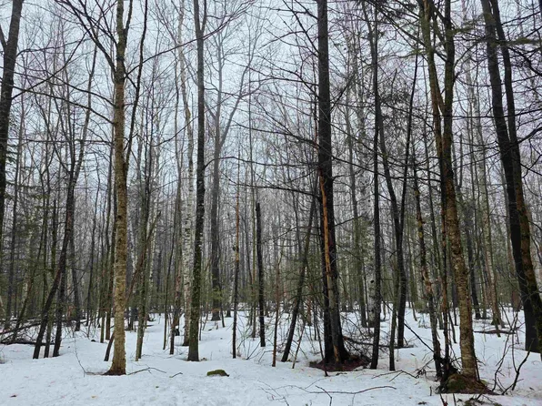 1500 Allard Hill Road, Wheelock, VT 05851