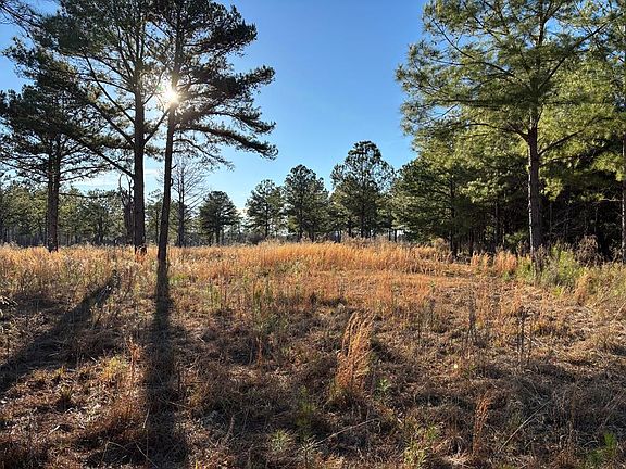 2nd image of 0 Rifle Range Rd