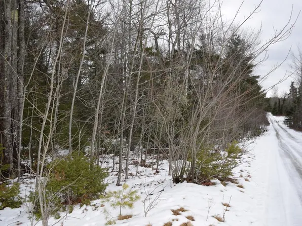 3-25 Granite Rock Circle, Surry, ME 04684