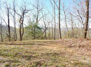 8-2 Treetop Dr #10, Hayesville, NC 28904