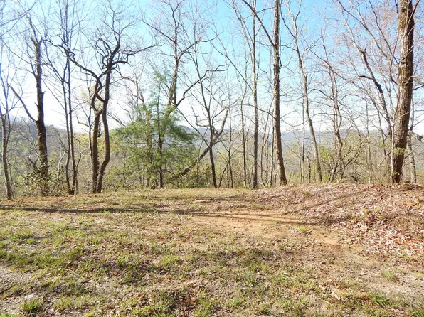 8-2 Treetop Dr #10, Hayesville, NC 28904