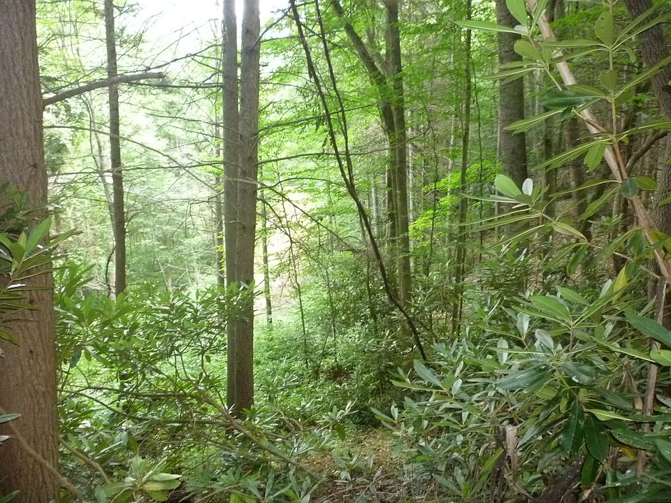 2nd image of Restoration Way