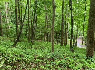 3 Snow Blossom Trl, Tuckasegee, NC 28783