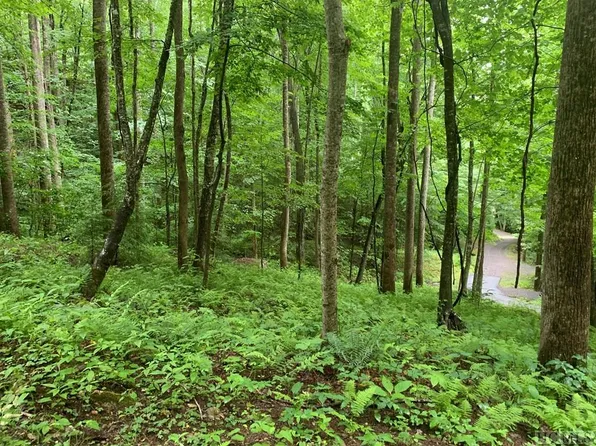 3 Snow Blossom Trl, Tuckasegee, NC 28783