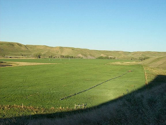 4th image of 1718 Woods Xing N