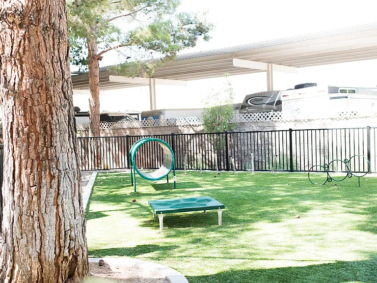 Enclosed dog park
