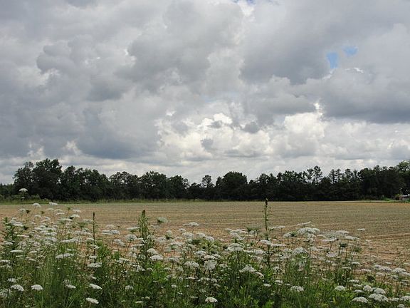 2nd image of 4617 Us Highway 301
