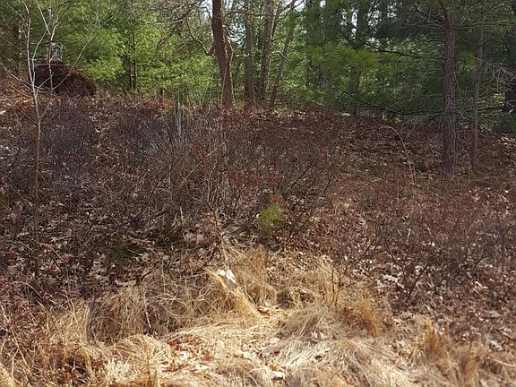 3rd image of 100 Wolf Hollow Rd