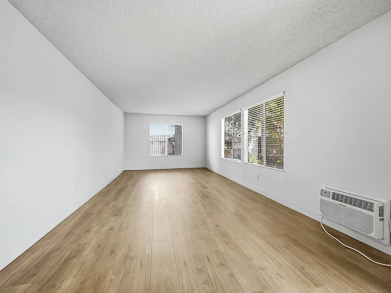 Felix — Photo 38
