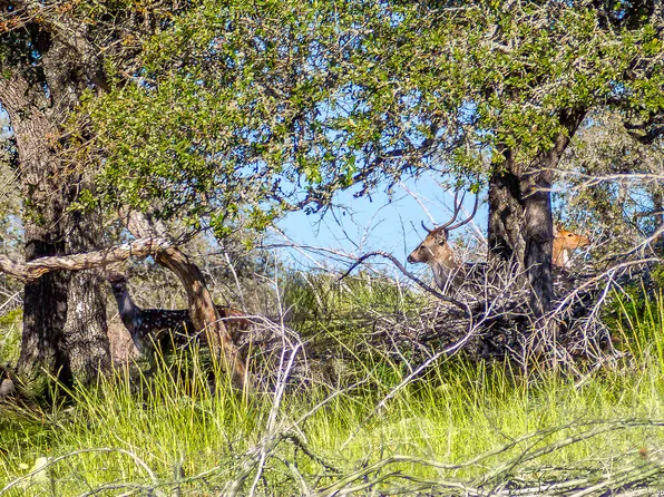 TBD Hwy 39, Hunt, TX 78024