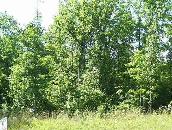 2nd image of Deep Branch Ln