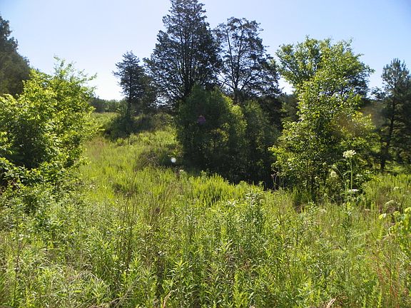 4th image of 0 Fortenberry Rd