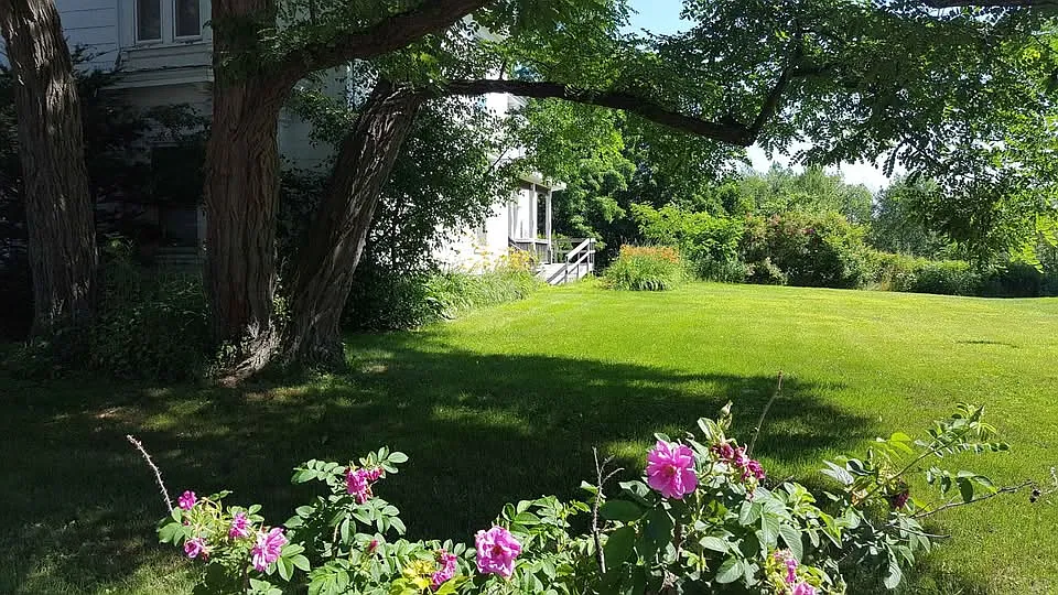 3 bed, 1200 sqft, $1,800 — Photo 4