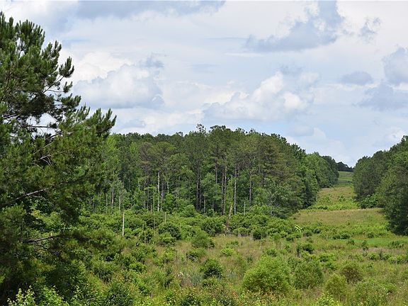 4th image of 0 Lee Road 757